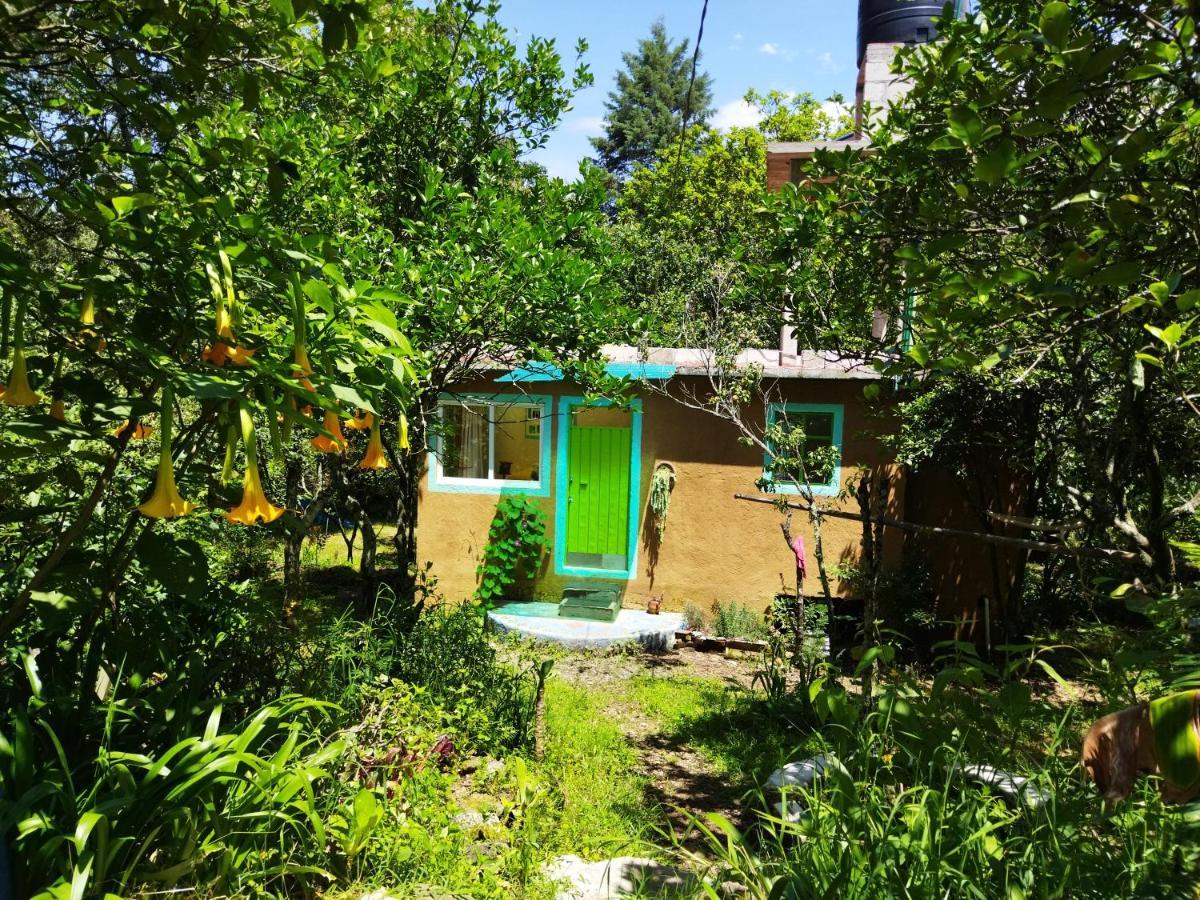 Casa Ecológica Apartamento Tepoztlán Exterior foto