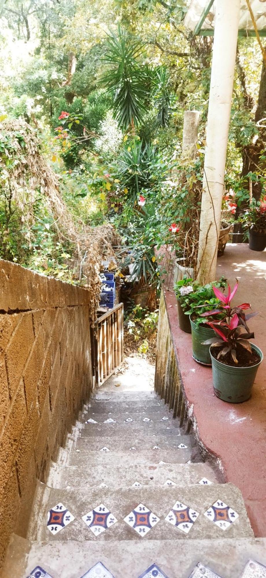 Casa Ecológica Apartamento Tepoztlán Exterior foto