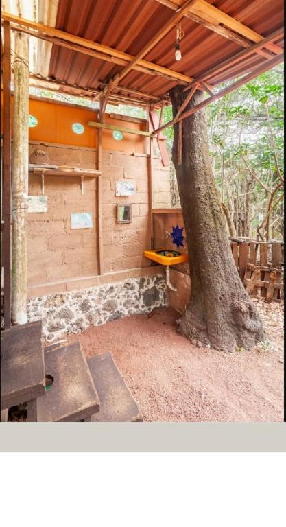 Casa Ecológica Apartamento Tepoztlán Exterior foto