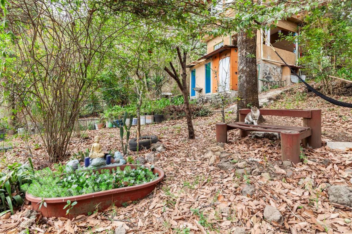 Casa Ecológica Apartamento Tepoztlán Exterior foto